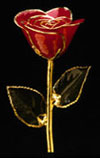 Order a gold rose rose for someone special today.